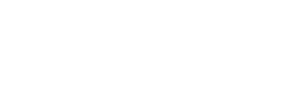 ELVVS